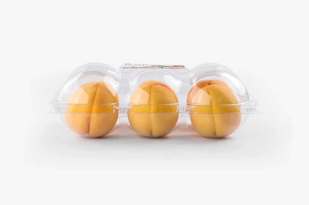 STL-AP6D 6-cavity apple and pear clamshell container holding six fresh fruits (white bg)