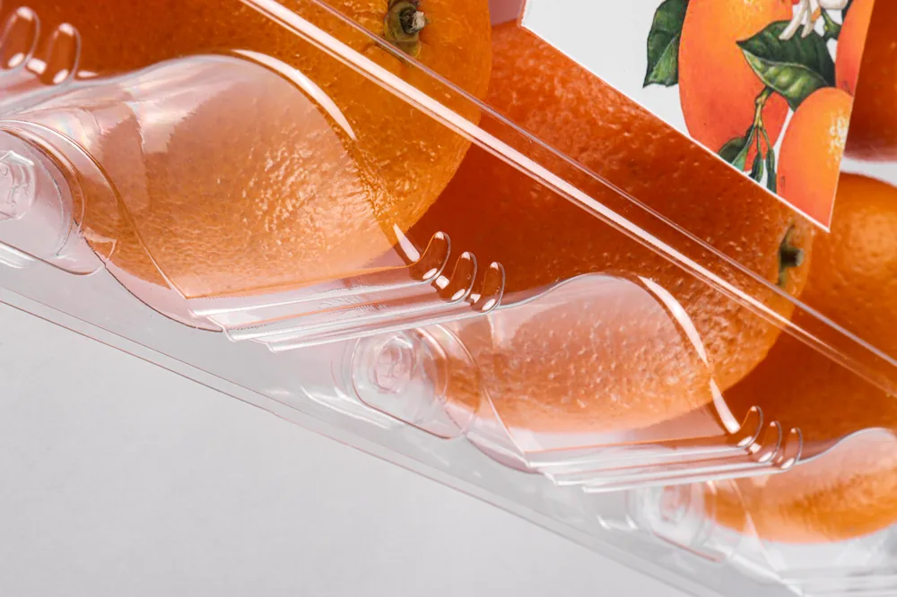STL-AP8S 8-cavity fruit clamshell container holding eight fresh fruits (white bg)