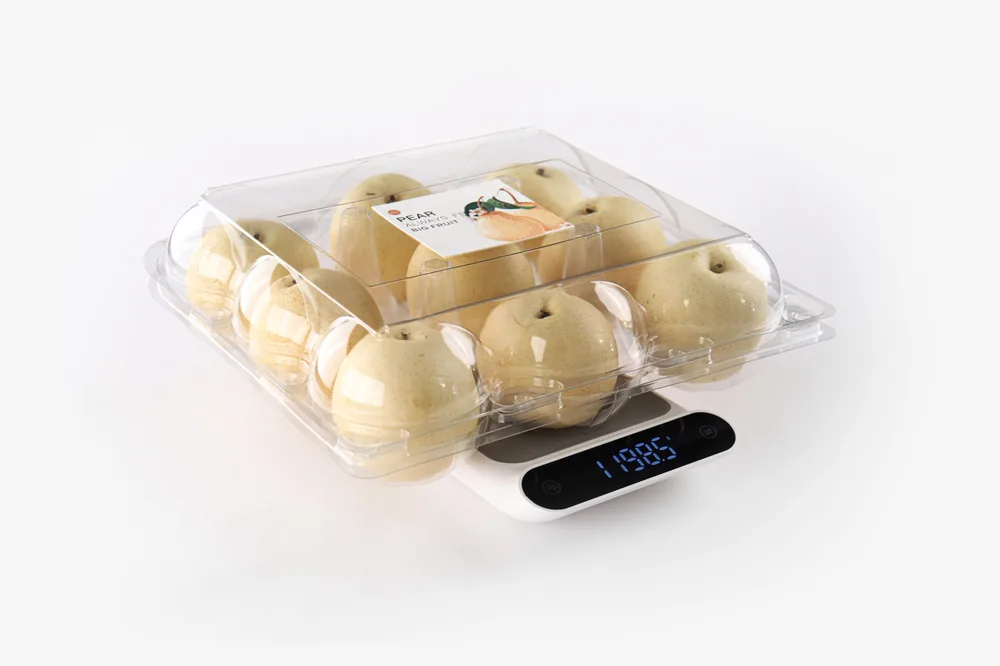 STL-AP9D 9-cavity apple and pear clamshell container holding nine fresh fruits (white bg)