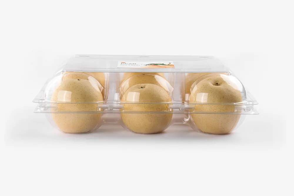 STL-AP9D 9-cavity apple and pear clamshell container holding nine fresh fruits (white bg)