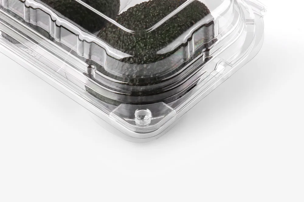 STL-L-02 2-cavity avocado clamshell container holding two fresh avocados (white bg)