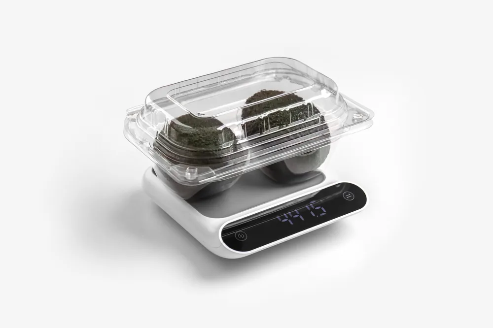 STL-L-02 2-cavity avocado clamshell container holding two fresh avocados (white bg)