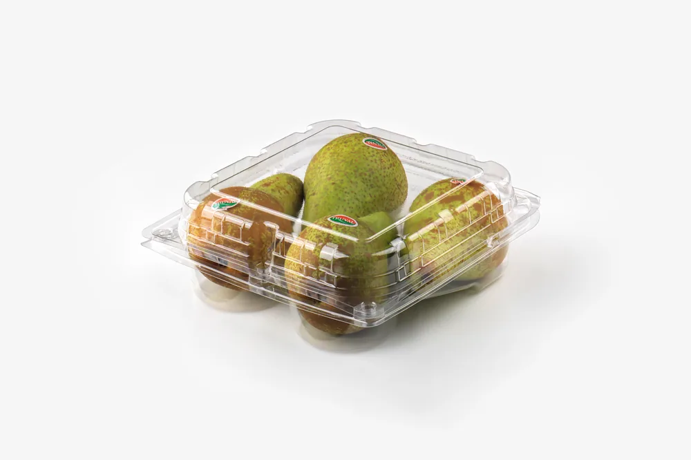 STL-L04 fruit clamshell packaging featuring four fresh fruits — clear plastic fruit container