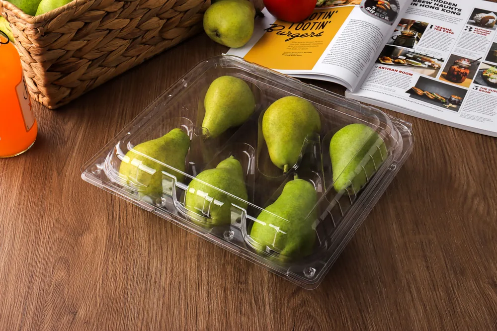 STL-L06 6-cavity fruit clamshell container holding six fresh fruits (scene)