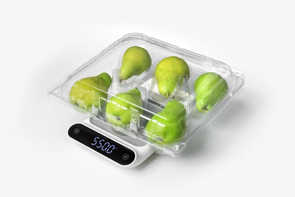 STL-L06 6-cavity fruit clamshell container holding six fresh fruits (white bg)