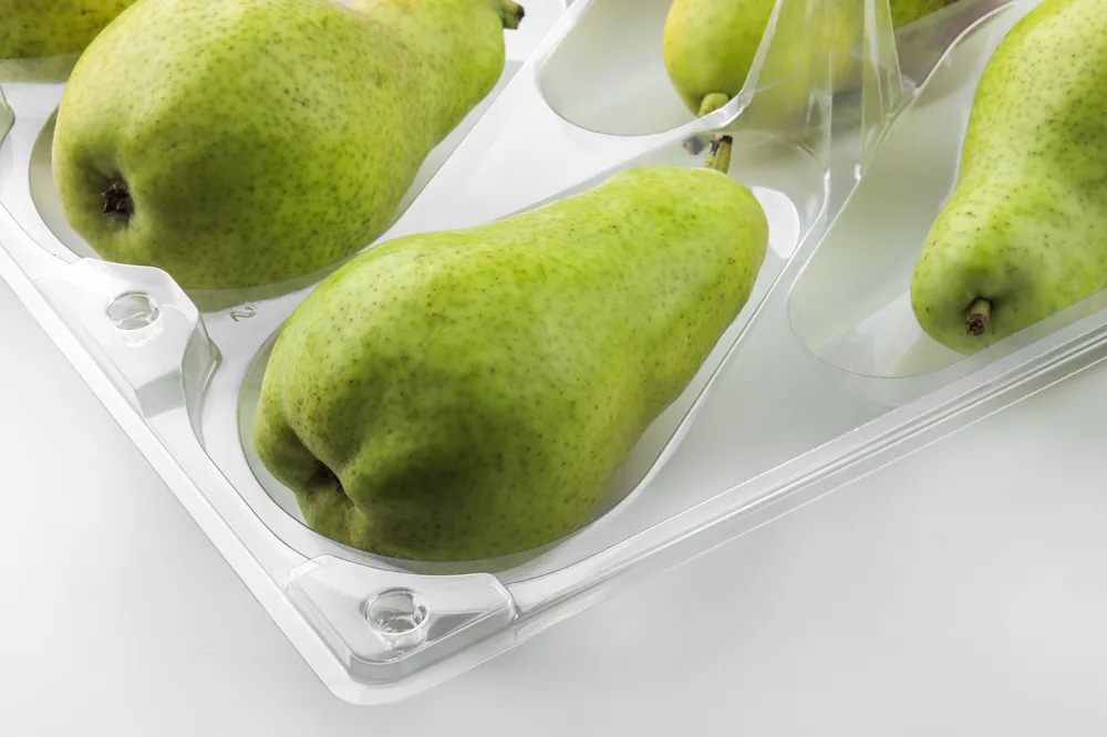STL-L06 6-cavity fruit clamshell container holding six fresh fruits (white bg)