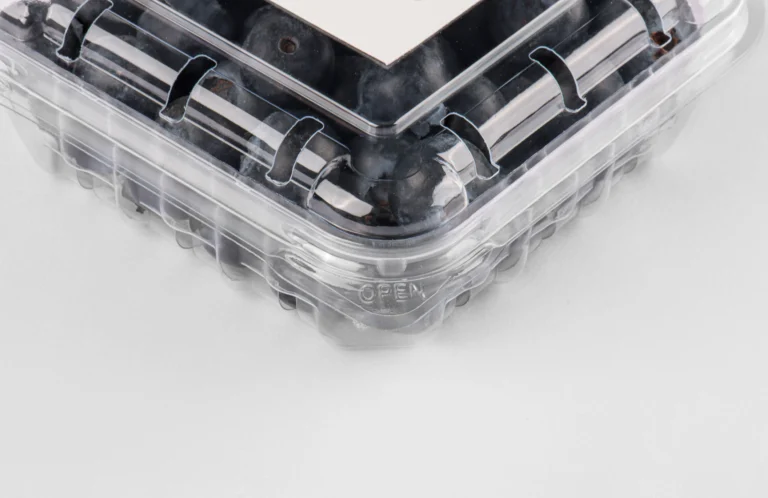 Ventilation hole design on a clear blueberry container.