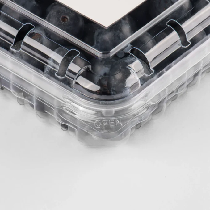 Ventilation hole design on a clear blueberry container.