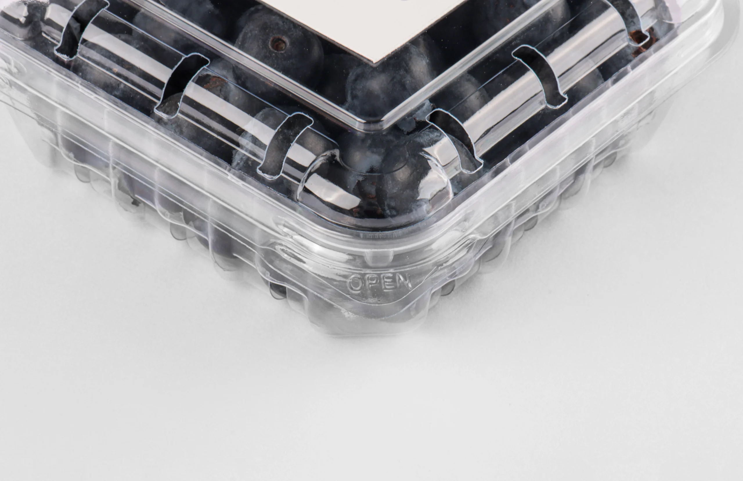 Ventilation hole design on a clear blueberry container.