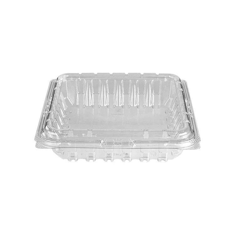 Disposable plastic food container designed for fresh blueberries.