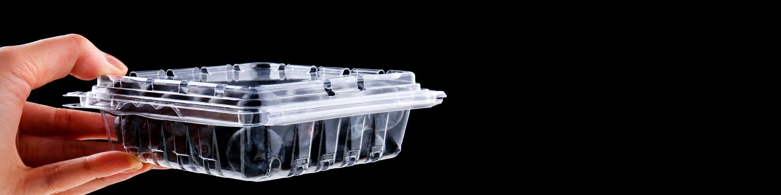 Fresh Produce Packaging Banner