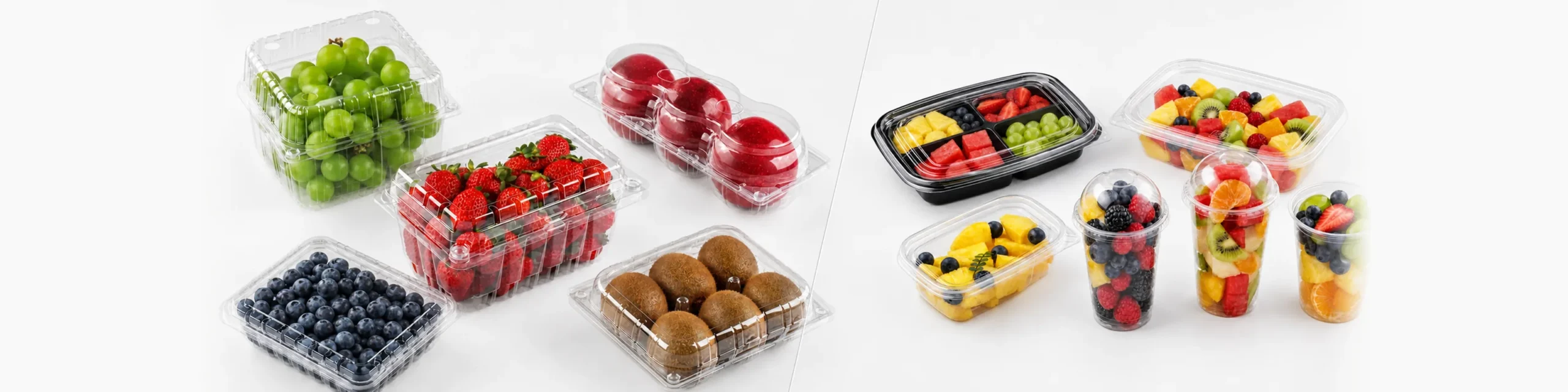 fruit-containers-manufacturer-banner