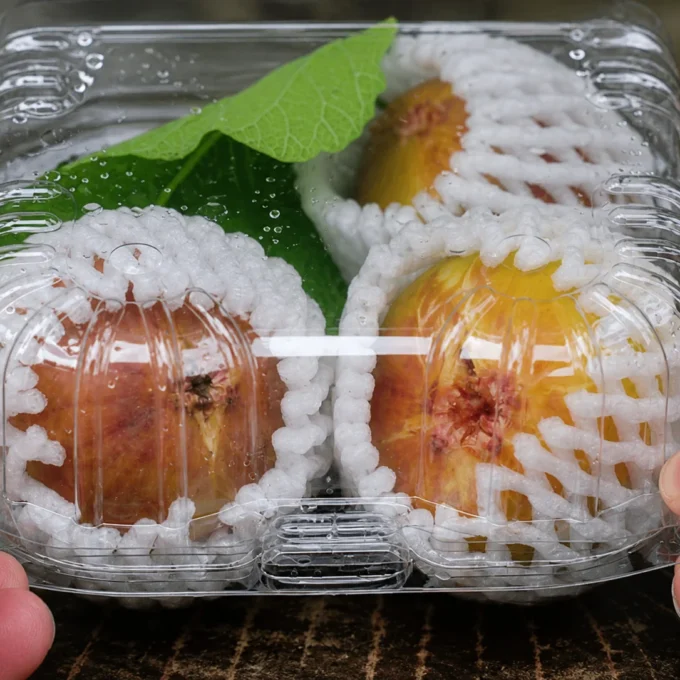 Clear clamshell container protecting fresh fruit during handling.