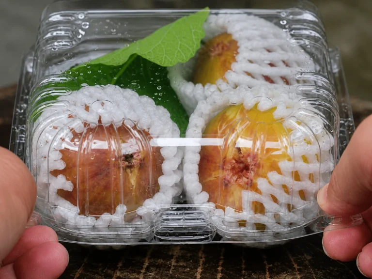 Clear clamshell container protecting fresh fruit during handling.