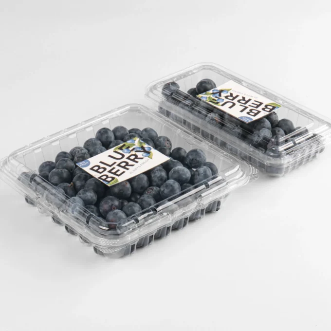 Shallow container shape designed to protect delicate blueberries.