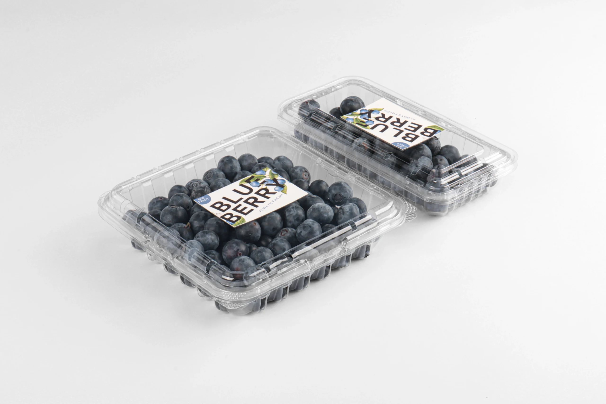 Shallow container shape designed to protect delicate blueberries.