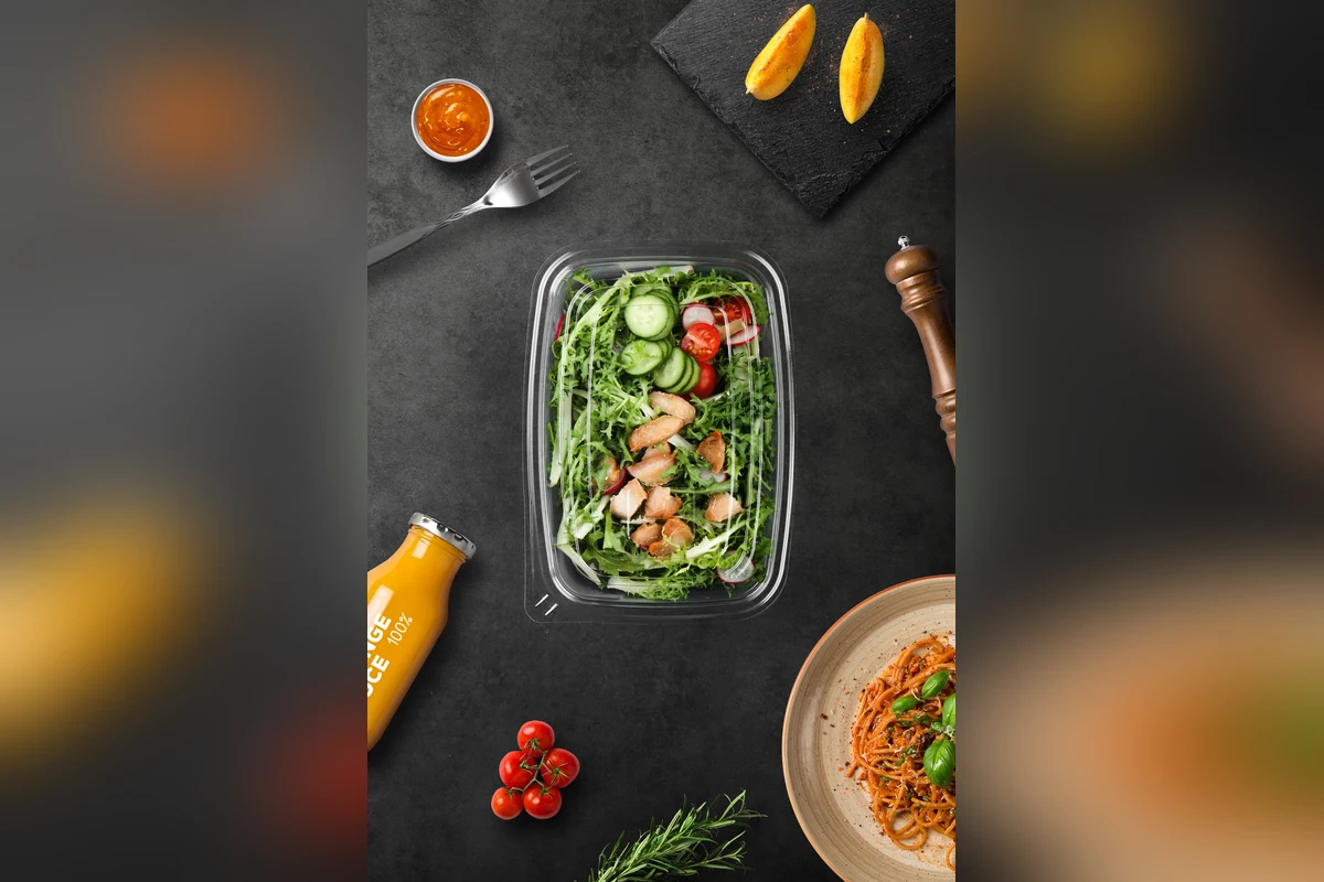 STL-FG-1 Salad Container Lifestyle
