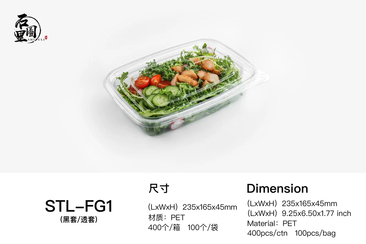 STL-FG-1 Salad Container White Background 7