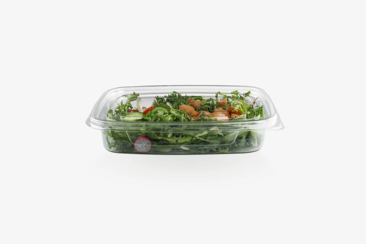STL-FG-1 Salad Container White Background 8