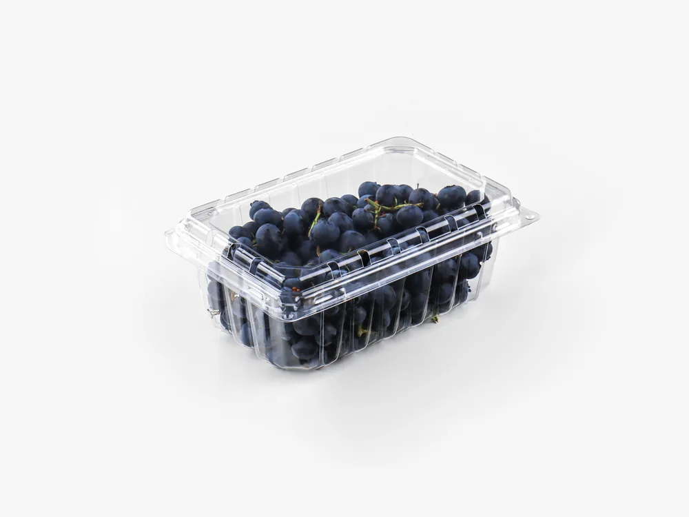 High-lid clamshell containers for bakery, produce and fresh food packaging
