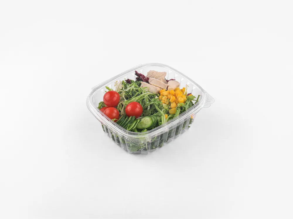 Hinged clamshell containers for fresh produce and food packaging