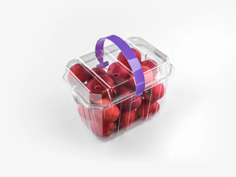 Handled produce containers and specialty retail food packaging