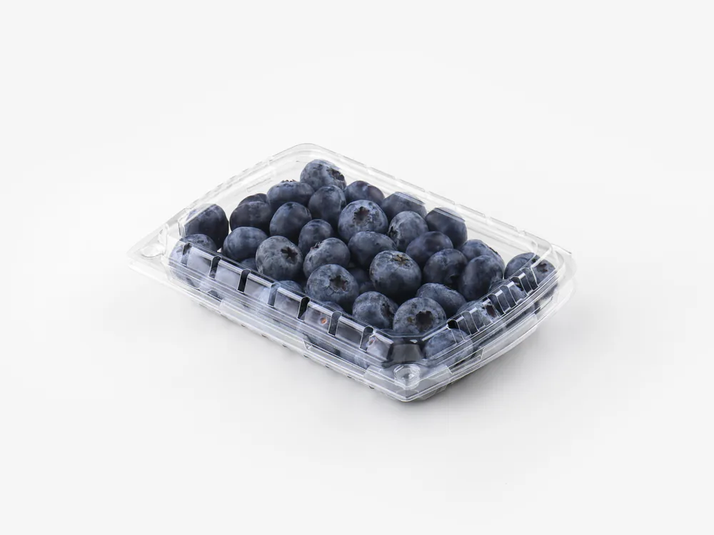 Shallow clamshell containers for berries, pastries and light food packaging