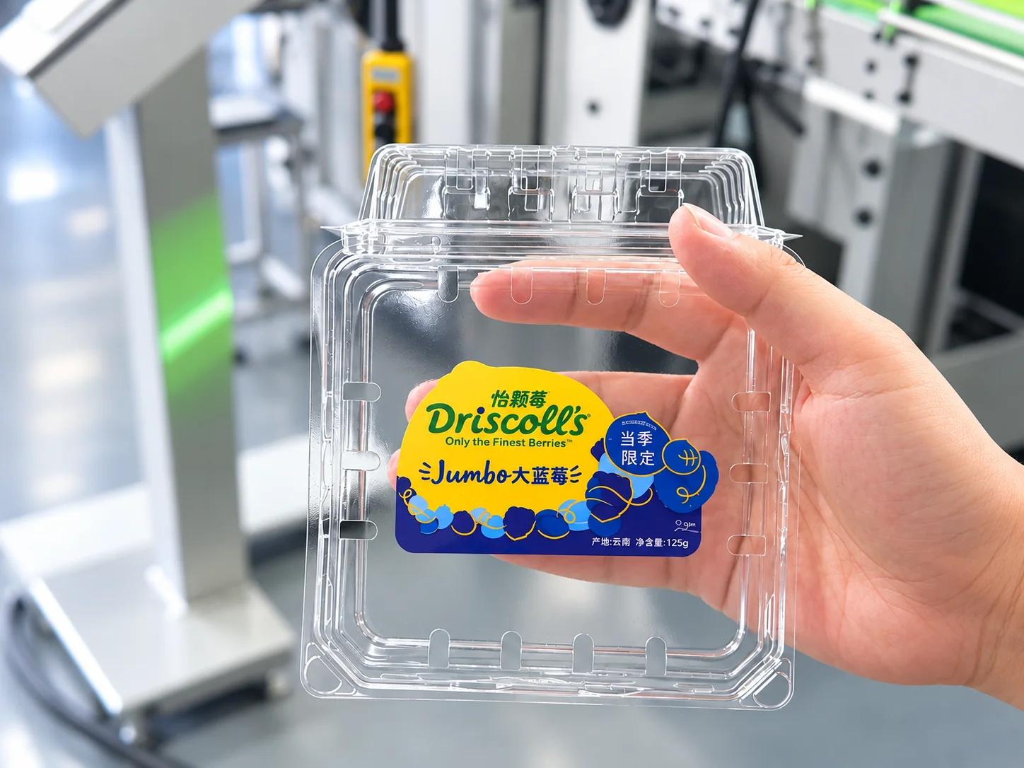 Clear PET fruit container with direct UV-printed branding in a packaging factory
