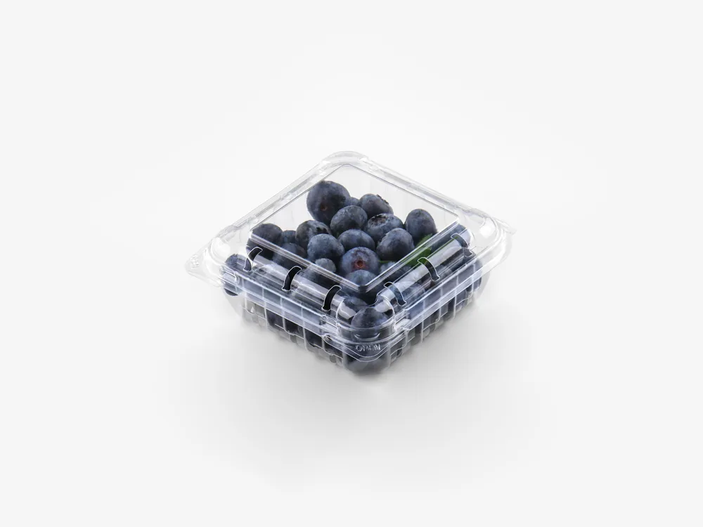 Vented clamshell containers for blueberries and fresh produce packaging